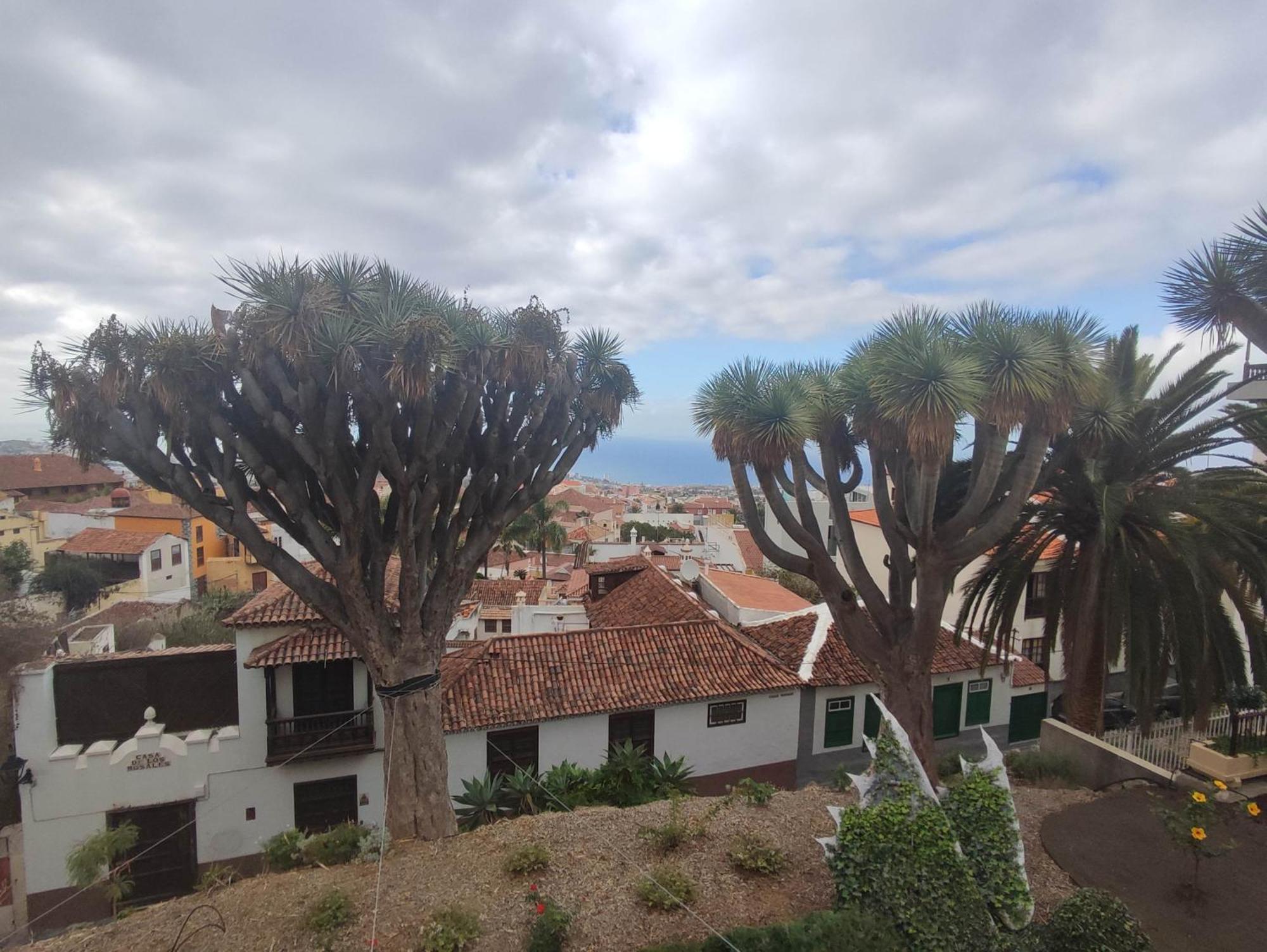 Apartament Casa Ruth Centro Orotava La Orotava Pokój zdjęcie